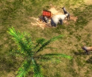 Polar bear borneo.png (827 KB) A polar bear found somehow in Borneo