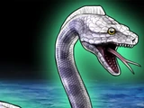 Sea Snake
