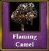 Flamingcamelavailable