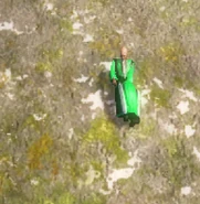 A fallen Shaolin Master