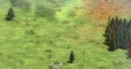 Landnomad terrain1 aoe2de.png (2.93 MB) Terrain view #1
