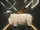 Livestock Pen