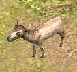 An in-game Saiga