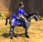 An in-game Veteran Hussar model