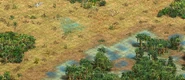 Central rainforest (right) contrasted with the typical terrain for the rest of the map (left)