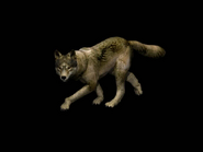 A render of the Wolf model in Age of Empires II