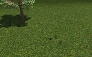 The Bird unit being a trio of three black birds