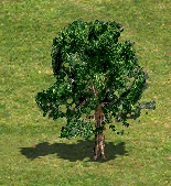 TreeJ.png (62 KB) Tree J