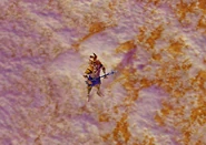 Katapeltesheroingame.png (581 KB) Katapeltes Hero in-game