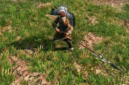 AoE3DE Great Plains Chief.png (3.45 MB) Great Plains Chief in the Definitive Edition