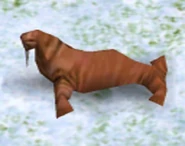 Walrus.jpg (26 KB) An Walrus in the original game