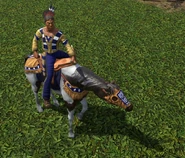 An in-game Champion/Legendary Bow Rider in the Definitive Edition