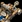 AoE2DE OnagreSiege