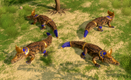 Views of the Petsobek in Retold