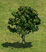 TreeK.png (64 KB) Tree K