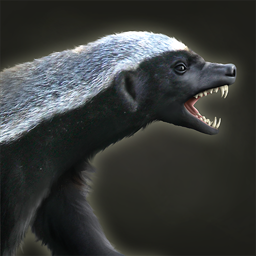 Honey badger - Wikipedia