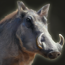 Warthog portrait