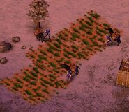 Citizens gathering food from Farms. Since they do not require drop off points, they can build farms anywhere. However, this will make them vulnerable to attacks.