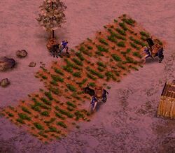 Citizen Age Of Empires Series Wiki Fandom Citizen Age Of Empires Series Wiki Fandom