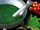 Herbal Medicine (Age of Empires II)