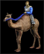 Camel Rider render