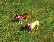 The two in-game variants of the War Dog in Age of Empires III