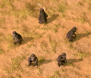 Close-up of Relic Monkeys in Retold