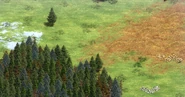Landnomad terrain3 aoe2de.png (3.07 MB) Terrain view #3