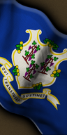 Federal state US connecticut.png