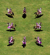 Un groupe d'archers de cavalerie lourde
