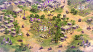 Official showcase of an Egyptian settlement