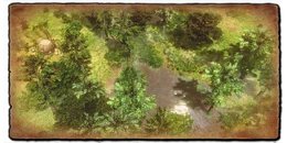 AoE3DE Bayou 3