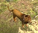 An in-game Lion