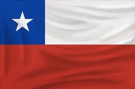 Chile flag revolt DE