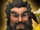 Zhang Fei
