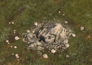 A small Stone Outcropping