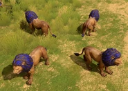 Many views of the Nemean Lion in Retold