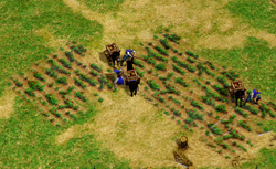 Citizen Age Of Empires Series Wiki Fandom Citizen Age Of Empires Series Wiki Fandom