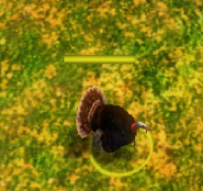 Turkey scout ingame.png (84 KB) In-game Intrepid Turkey Scout before the Definitive Edition