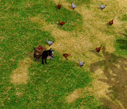 Citizen Age Of Empires Series Wiki Fandom Citizen Age Of Empires Series Wiki Fandom
