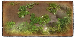 AoE3DE Bayou 2