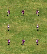 A group of Elite Skirmishers