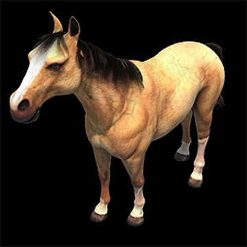 What Does a Dun Horse Look Like? - Asset Publisher