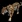Jaguar DE