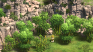 Lush Bamboo