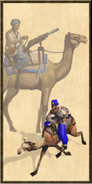 Zamburak history portrait