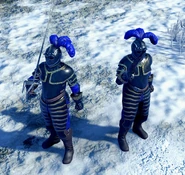 An in-game Armored Pistoleer