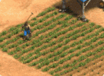 AoE2DE Animation ferme