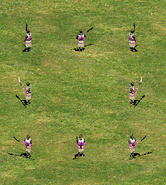 A group of Pikemen in the HD Edition