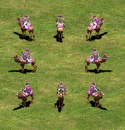 GrupoCamellosConArmadura.png (336 kB) Un grupo de camellos con armadura